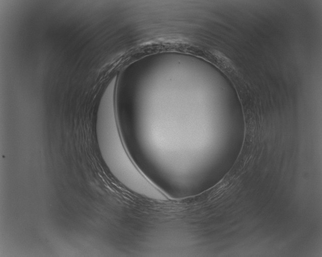 X0000053011110200507081014