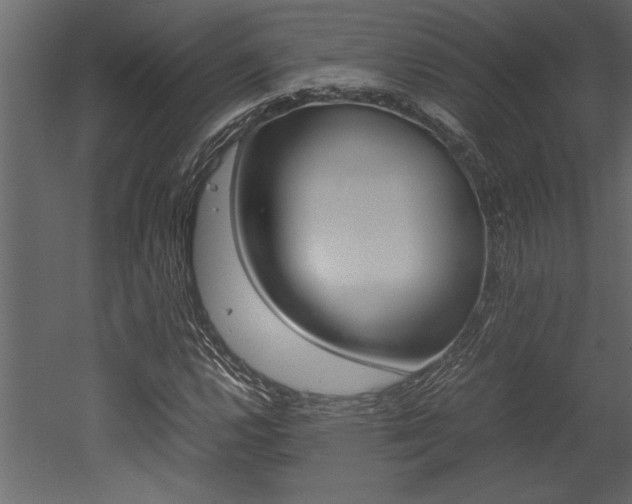 X0000053011112200507081014