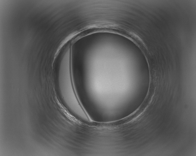 X0000053011114200507081014