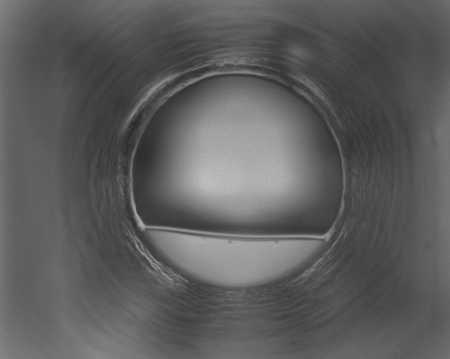 X0000053011115200507081014