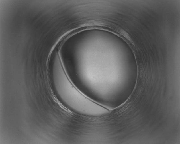 X0000053011116200507081014