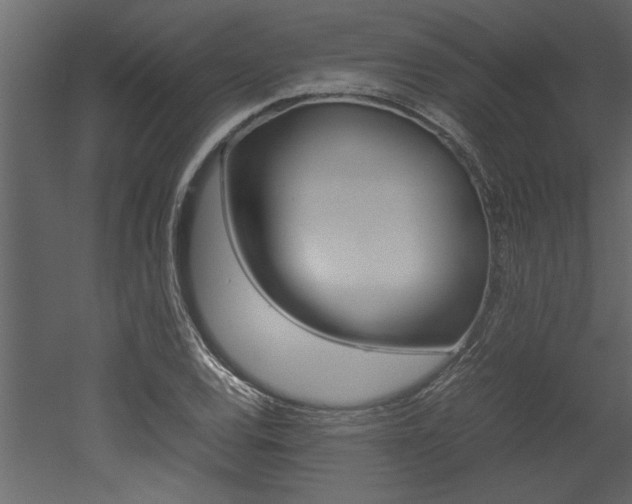 X0000053011120200507081014
