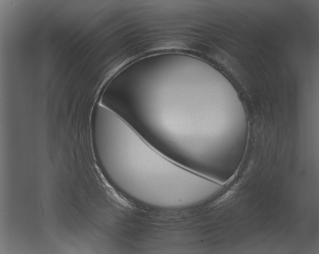 X0000053011129200507081014