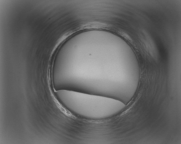 X0000053011130200507081014