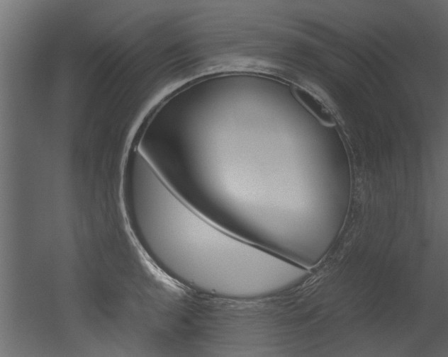 X0000053011136200507081014