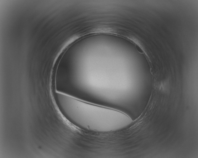 X0000053011139200507081014