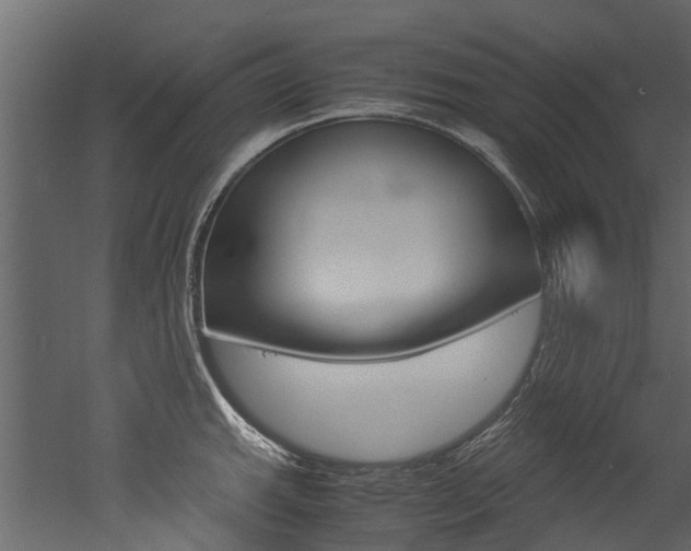 X0000053011143200507081014