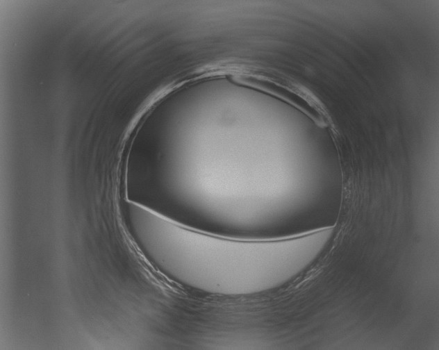 X0000053011146200507081015