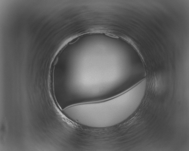 X0000053011147200507081015