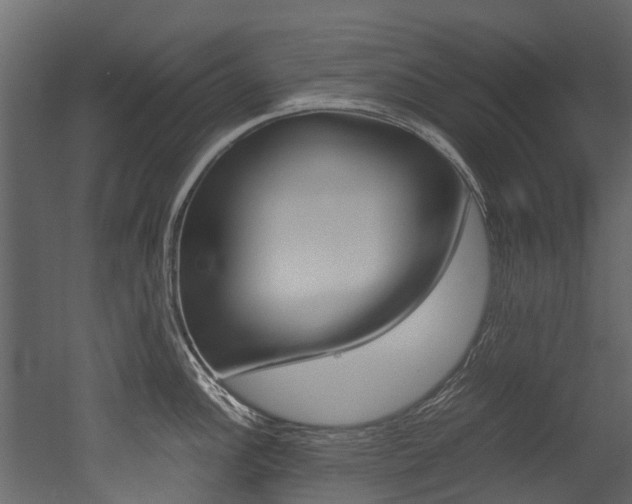 X0000053011148200507081015
