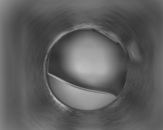 X0000053011151200507081015