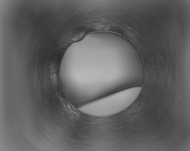 X0000053011154200507081014