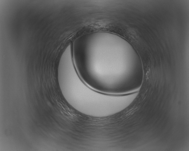 X0000053011156200507081014