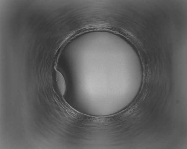 X0000053011162200507081014
