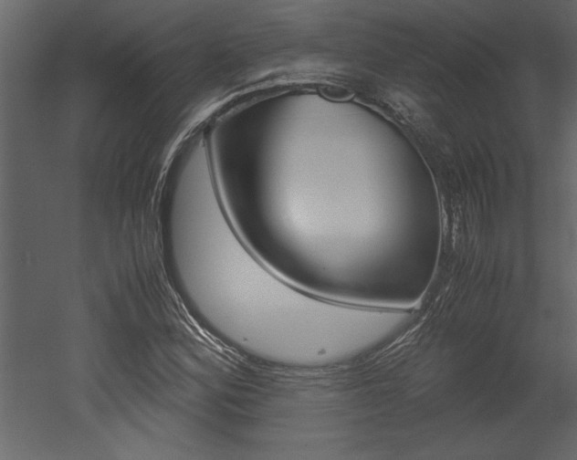 X0000053011164200507081014