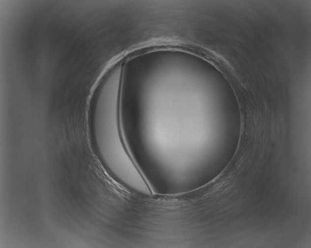 X0000053011168200507081014