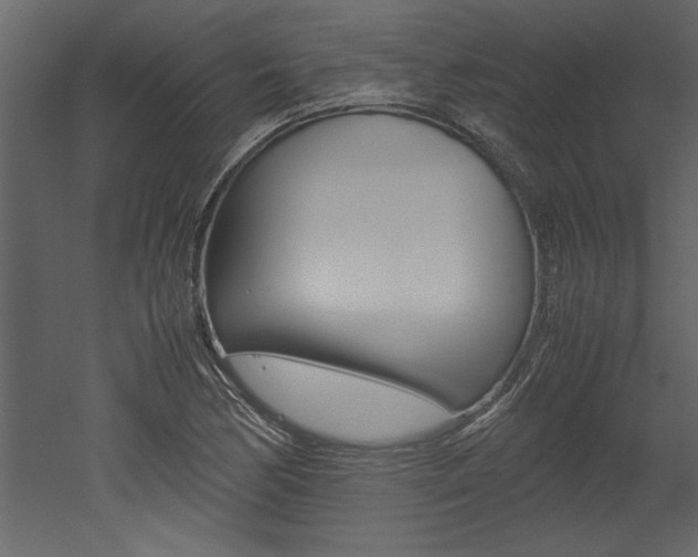 X0000053011170200507081014