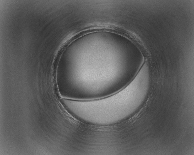 X0000053011172200507081013
