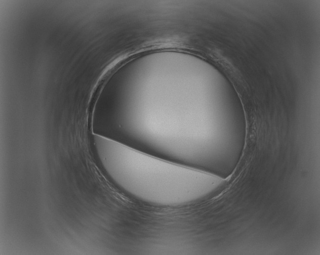 X0000053011174200507081013