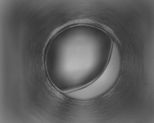 X0000053011176200507081013