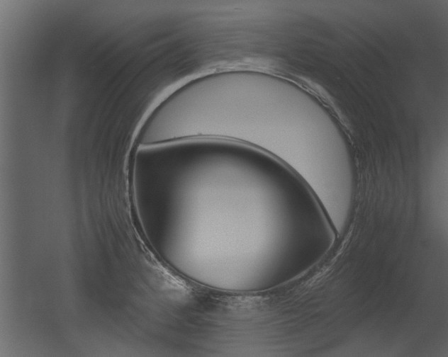 X0000053011184200507081013