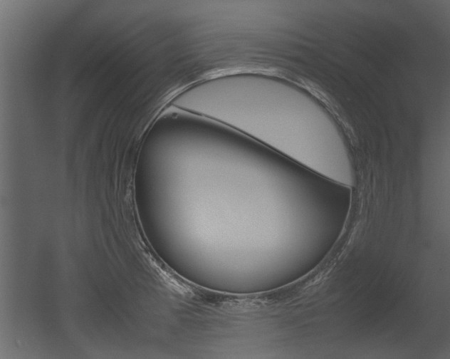 X0000053011185200507081013