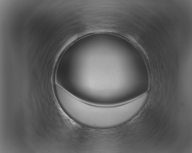 X0000053011189200507081013