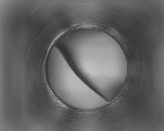 X0000053011190200507081013