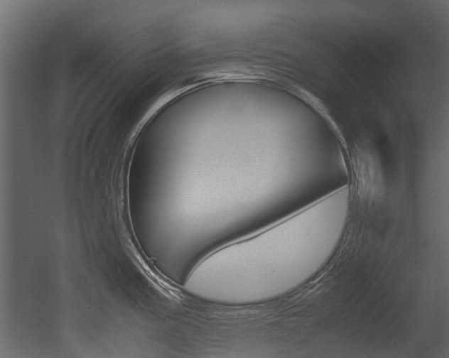 X0000053011195200507081013