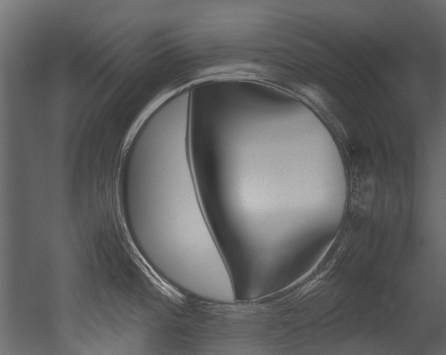 X0000053011196200507081013