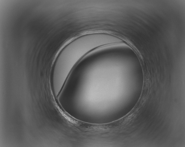X0000053011197200507081013