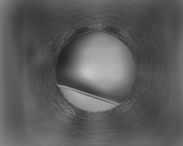 X0000053011201200507081012