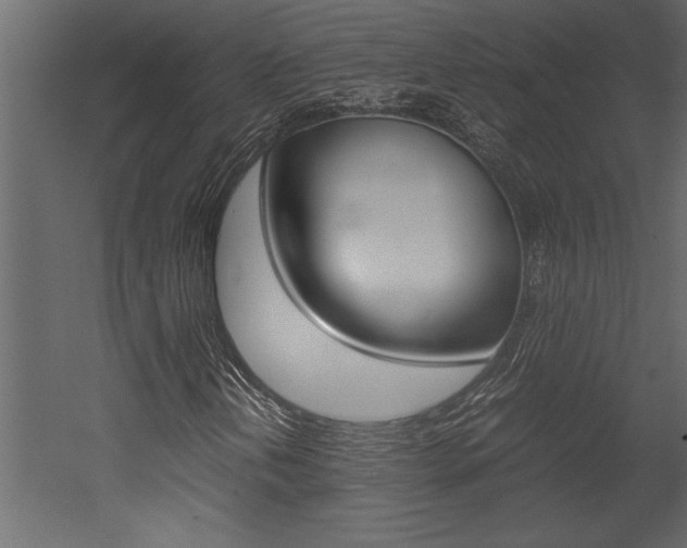 X0000053011202200507081012