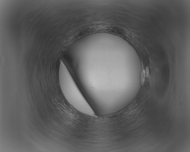 X0000053011203200507081012