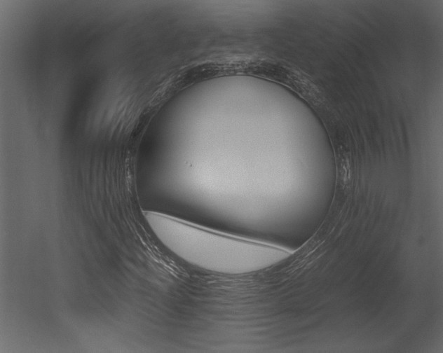 X0000053011204200507081012