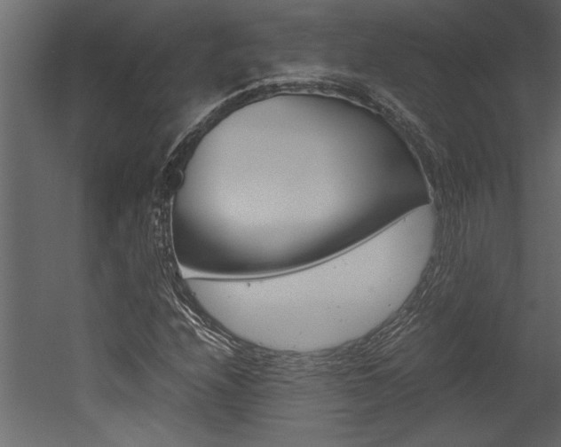 X0000053011208200507081012