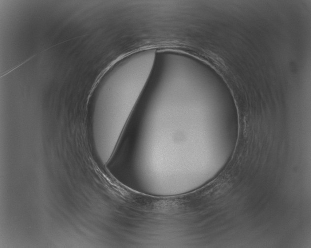 X0000053011212200507081012