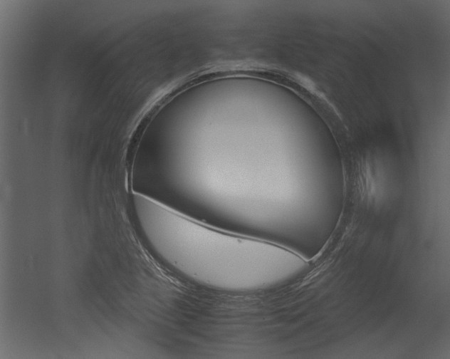 X0000053011221200507081013