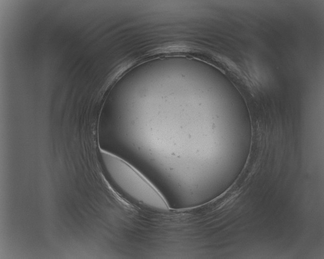 X0000053011225200507081013