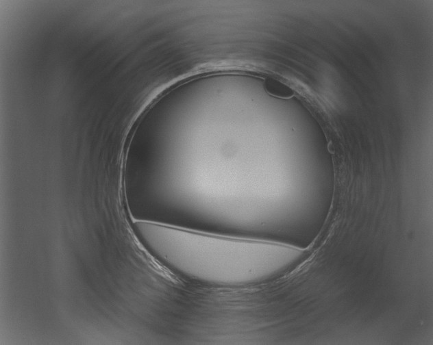 X0000053011228200507081013