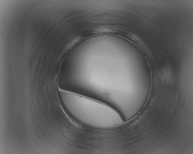 X0000053011233200507081013