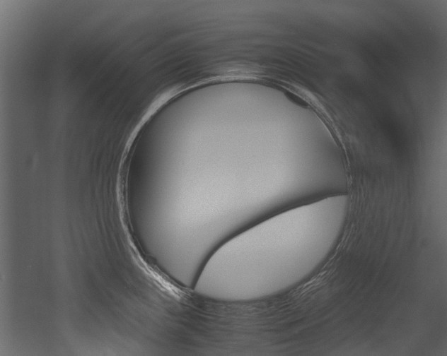 X0000053011243200507081013