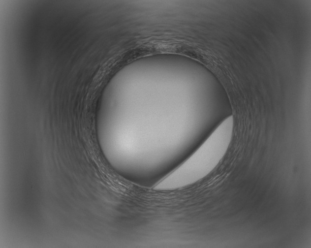 X0000053011249200507081012