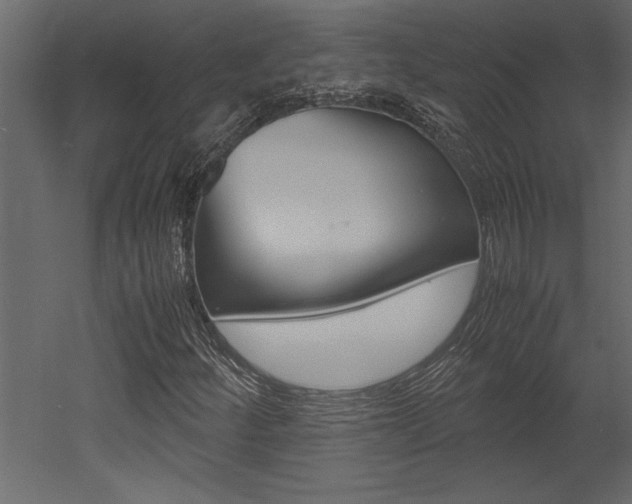 X0000053011252200507081012