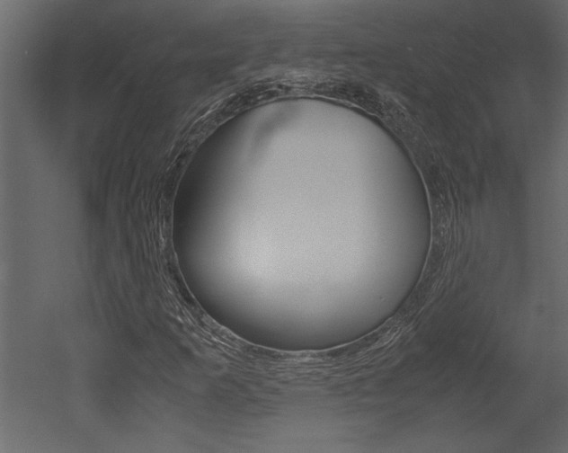 X0000053011253200507081012
