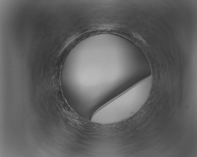 X0000053011256200507081012