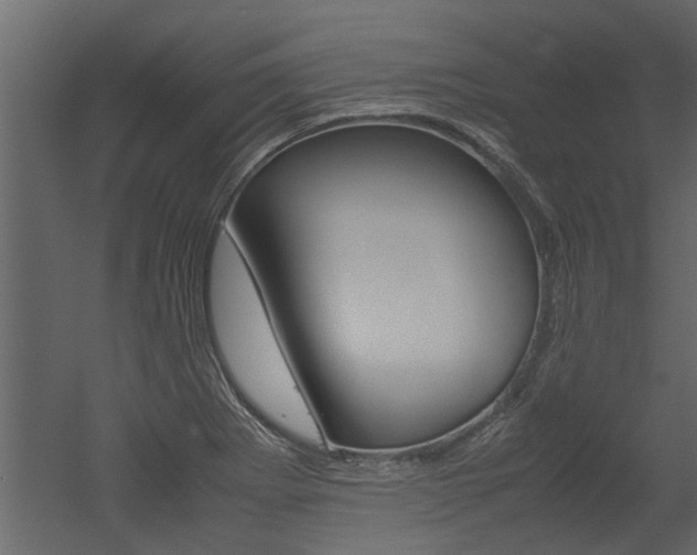 X0000053011273200507081012