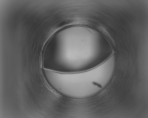 X0000053011276200507081012