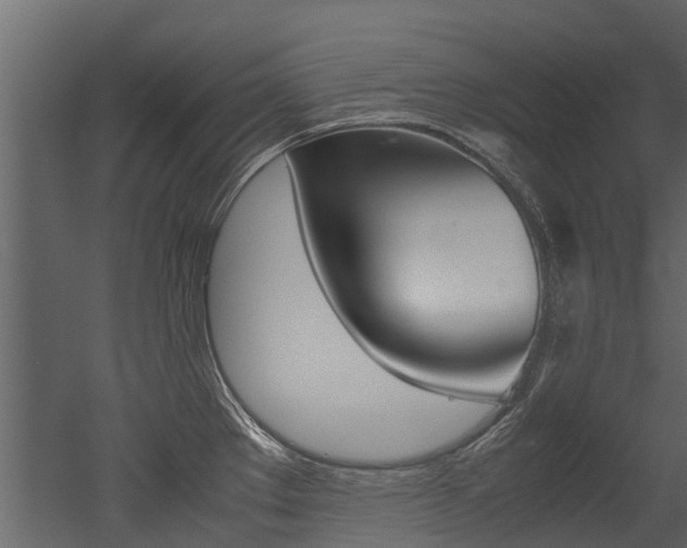 X0000053011289200507081011