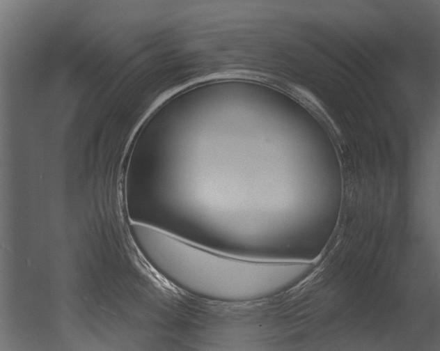 X0000053011292200507081011